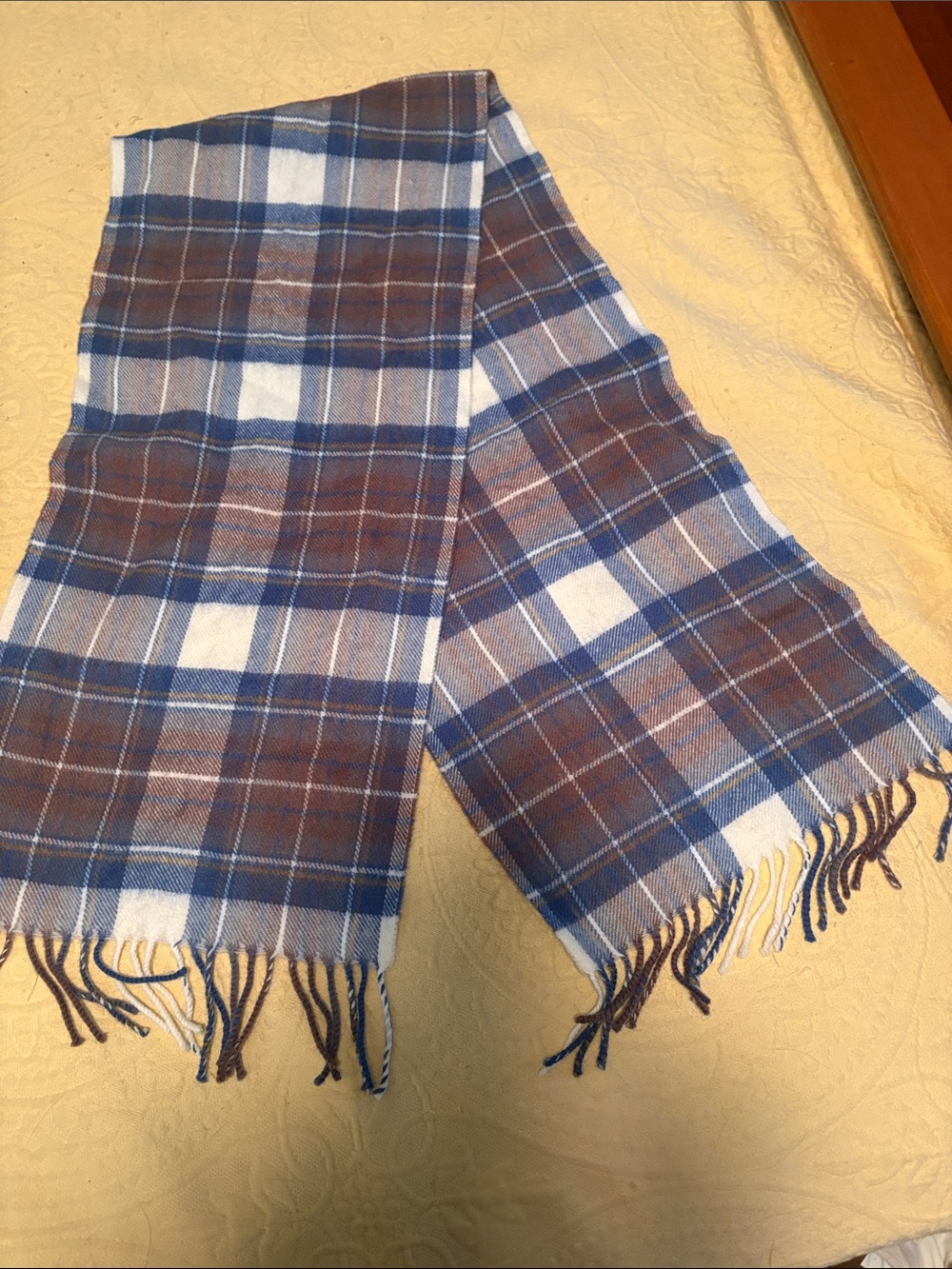 Plaid Wool Fringe Scarf - Blue & Brown